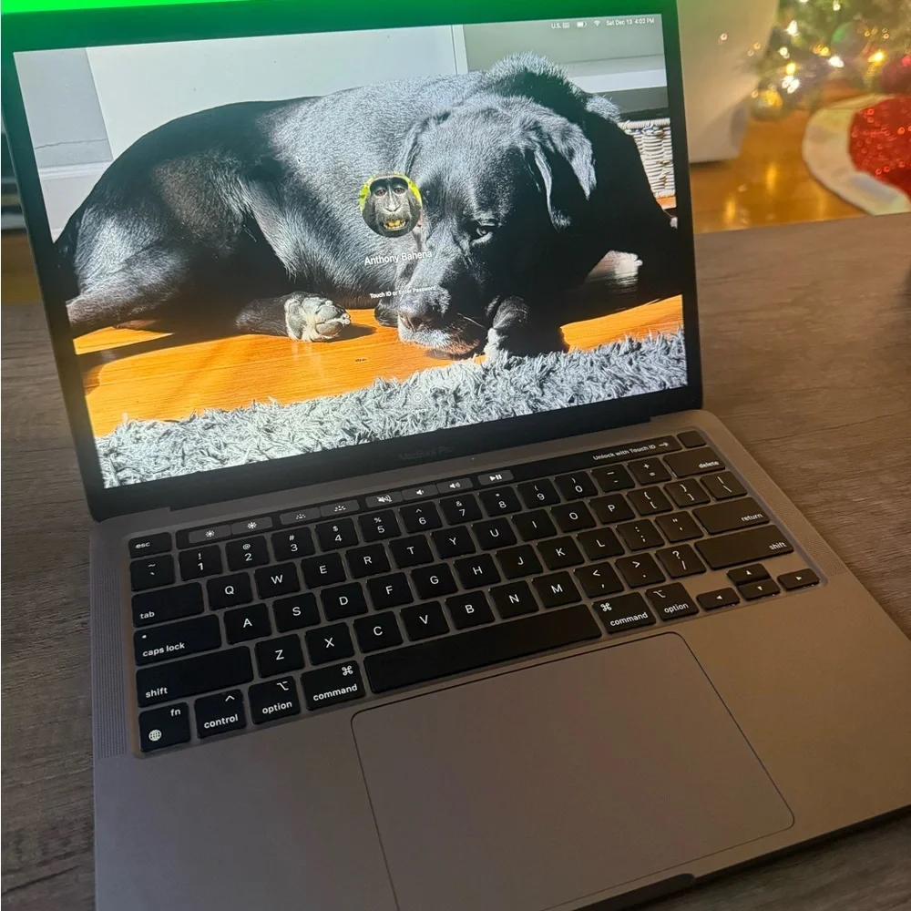 Apple Laptop - Sleek Gray Finish